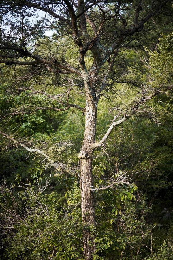 Letamo At Qwabi Private Game Reserve By Newmark Бела-Бела Экстерьер фото