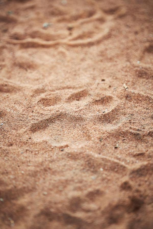 Letamo At Qwabi Private Game Reserve By Newmark Бела-Бела Экстерьер фото